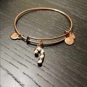 Alex and Ani candy cane charm bangle